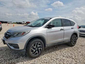  Salvage Honda Crv