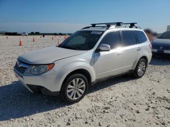  Salvage Subaru Forester