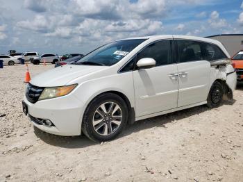 Salvage Honda Odyssey