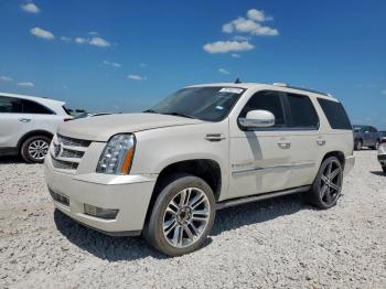  Salvage Cadillac Escalade