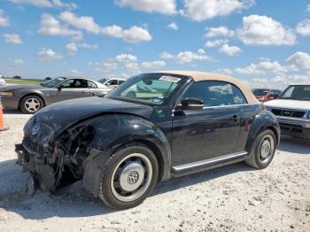  Salvage Volkswagen Beetle