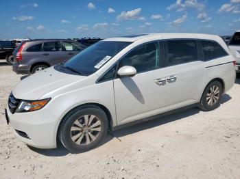  Salvage Honda Odyssey