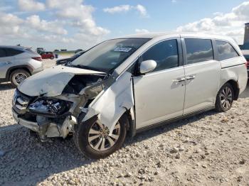  Salvage Honda Odyssey