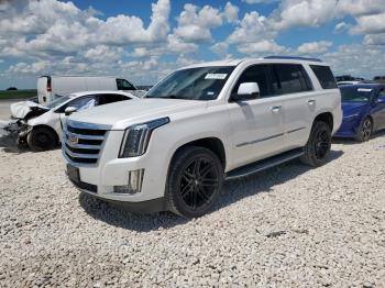  Salvage Cadillac Escalade