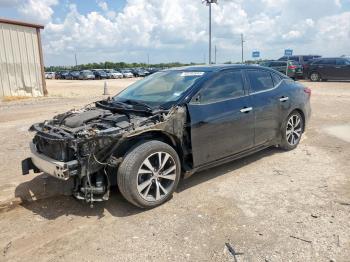  Salvage Nissan Maxima