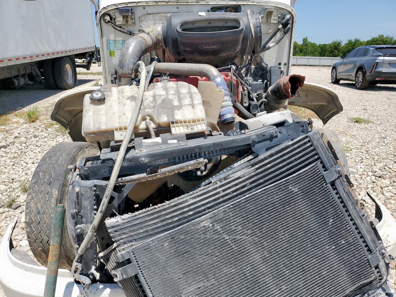 Peterbilt 384 Image 10