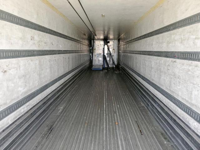 Great Dane Other Image 6