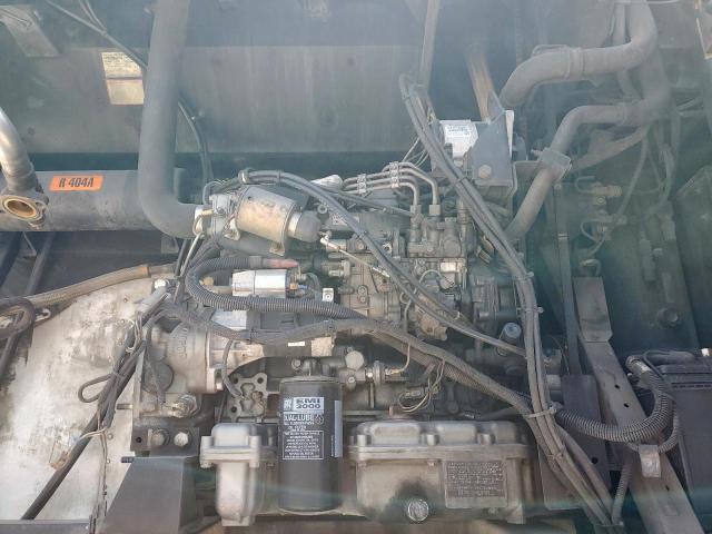 Great Dane Other Image 5