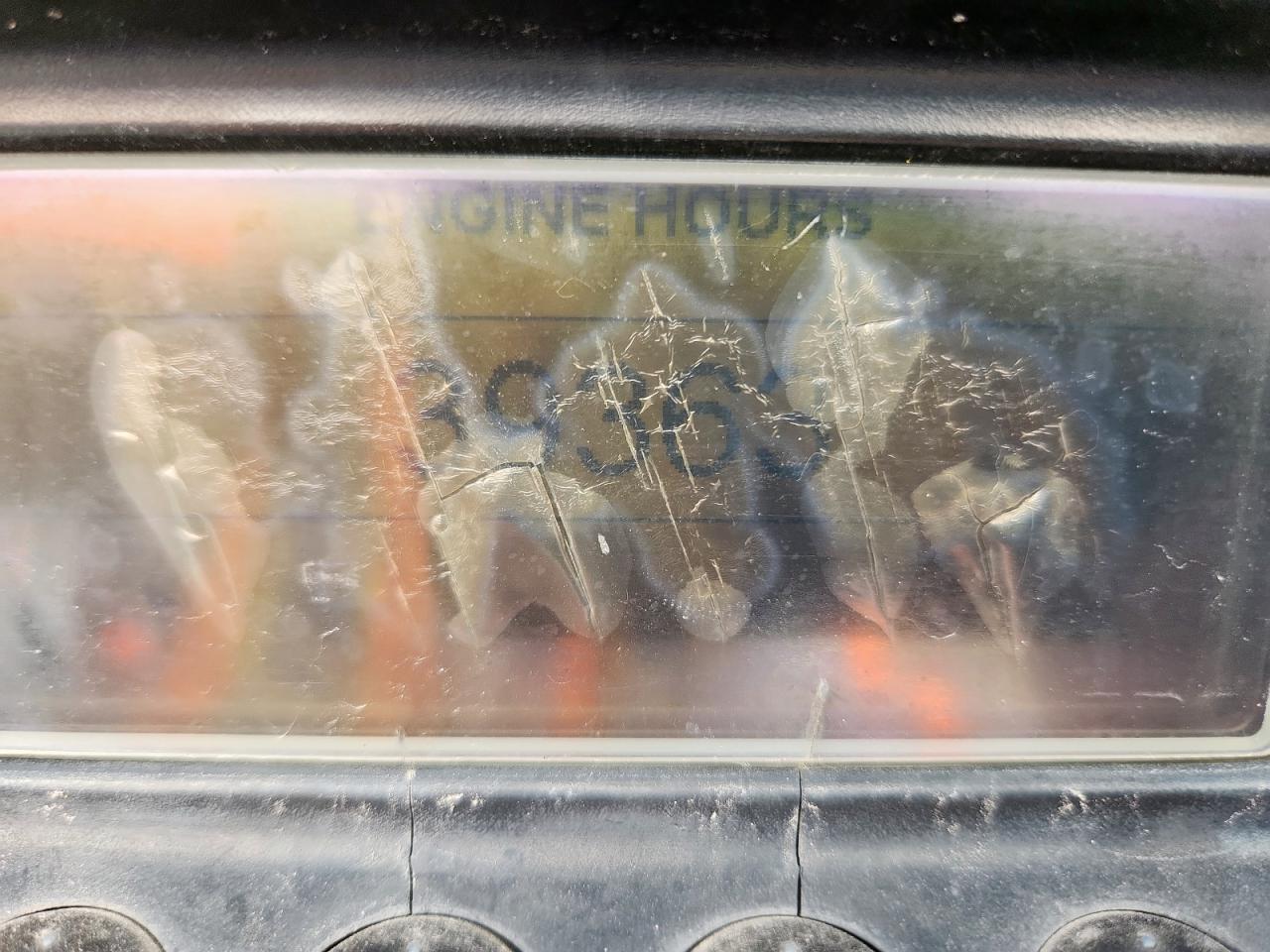 Great Dane Other Image 3