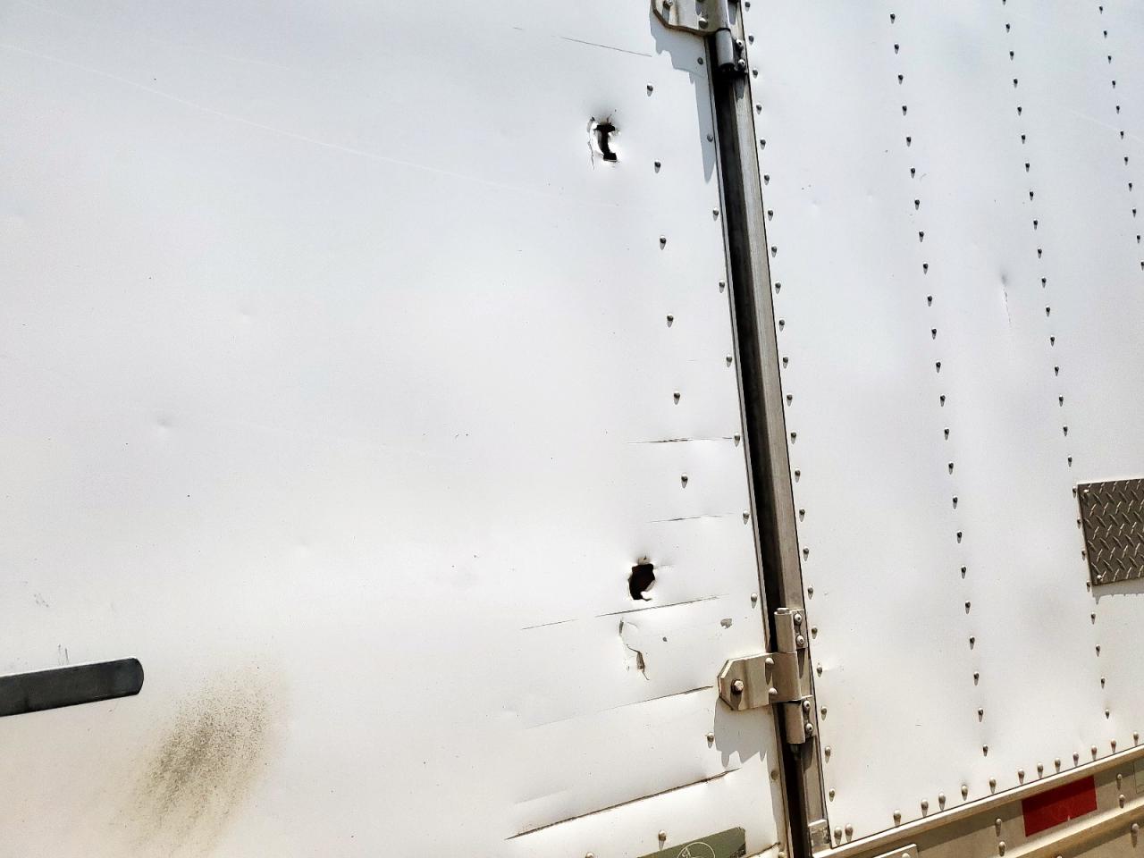 Great Dane Other Image 9