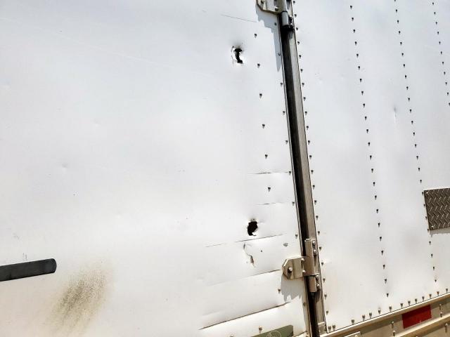 Great Dane Other Image 9