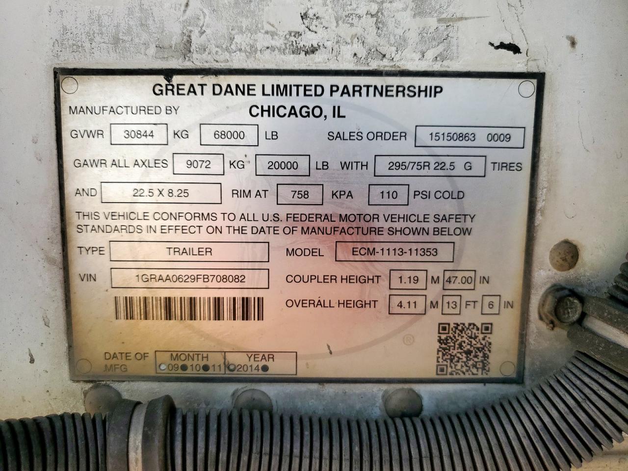 Great Dane Other Image 8