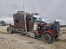 Peterbilt 379 Image 1