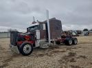 Peterbilt 379 Image 6