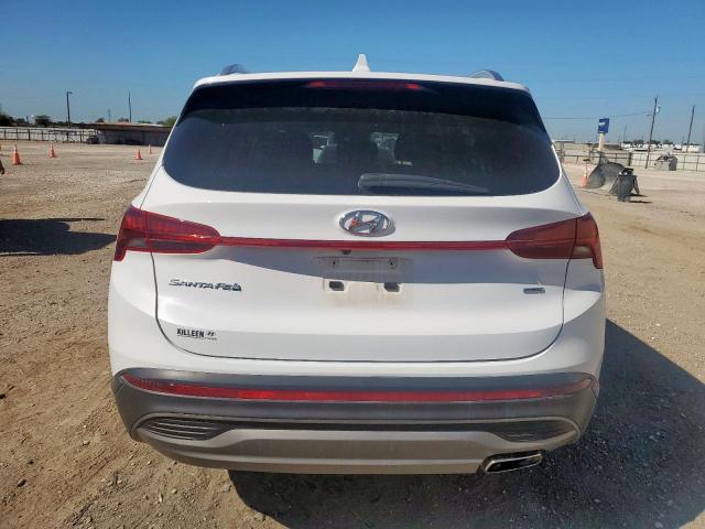 Hyundai SANTA FE Sel Image 6