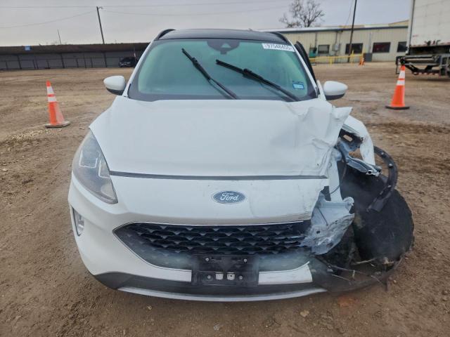 Ford Escape Sel Image 4